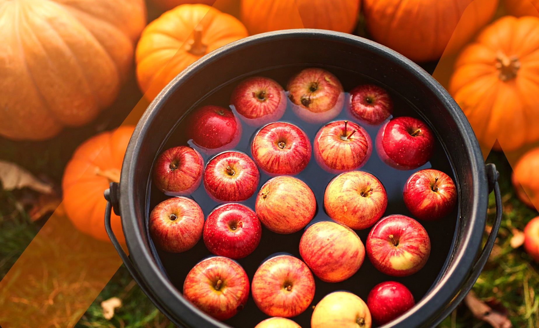 Black bucket filled with water and floating apples surrounded by pumpkins on the ground. 