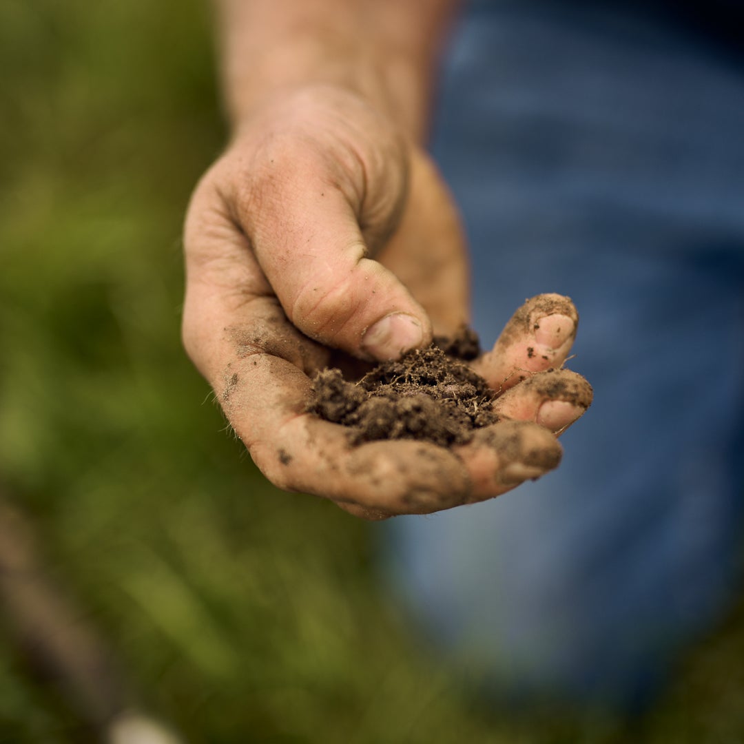 Farmer Holding Soil 2