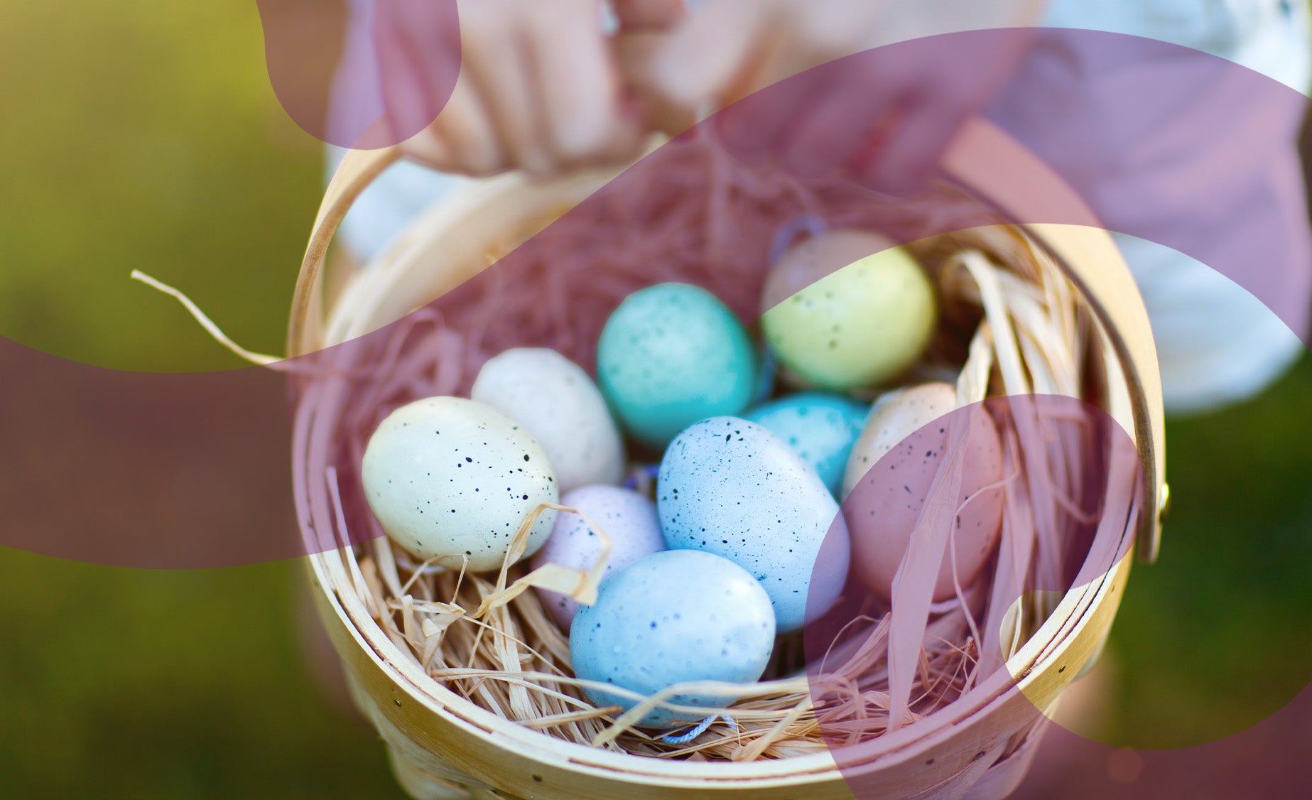 Small wooden basket filled with pretty speckled eggs